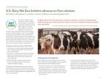 On-Farm Strategies and Actions
